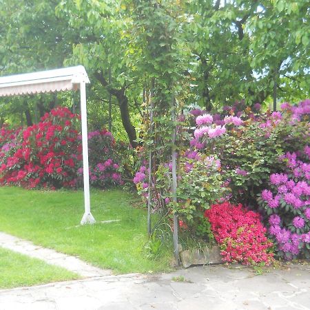Albergo Negritella Borgo Valsugana 外观 照片