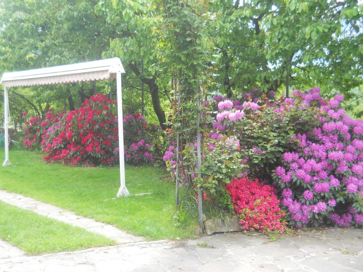 Albergo Negritella Borgo Valsugana 外观 照片
